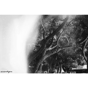 оставаться здесь