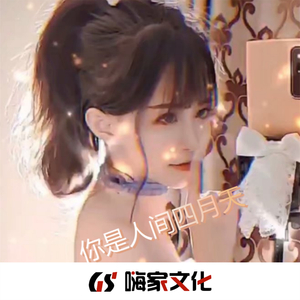 多年以后(DJ热播版)