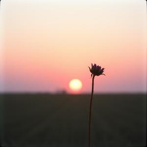 一度の恋に二度目の後悔