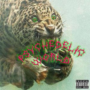 Album Mode