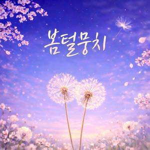 봄털뭉치 (Soft Drift)