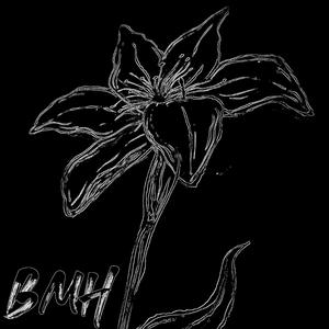 BMH