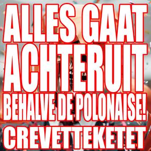 Alles gaat achteruit (behalve de polonaise)