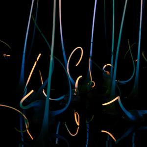 Glow in the Dark