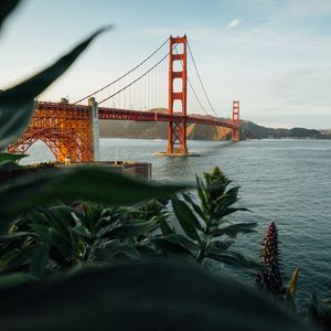 那些花儿-(pure Guitar)