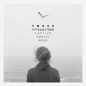 Путешествие (Captive Portal Remix)