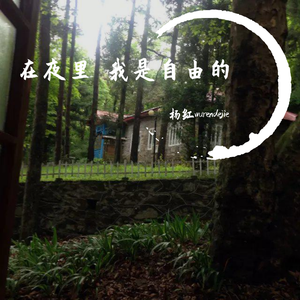 在夜里我是自由的 和声伴奏