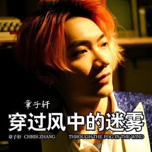 穿过风中的迷雾