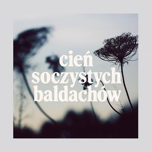 Zmieścisz się śmiało