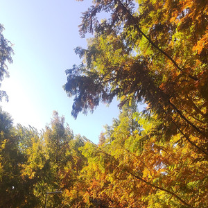 青春少年游（Remix）