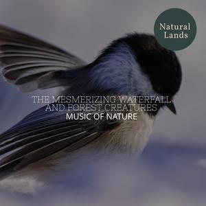 Chromatic Water Flowing