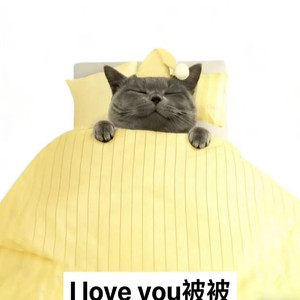 我是被子 我不同意起床