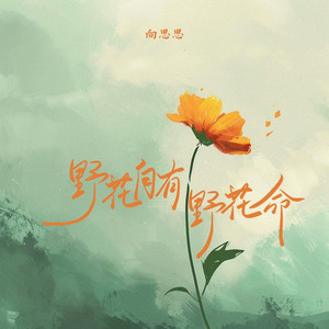 野花自有野花的命