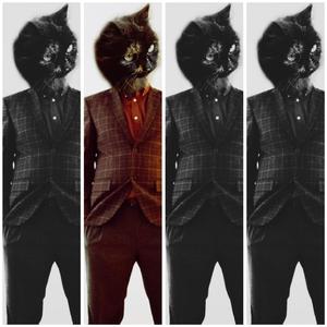 cat song