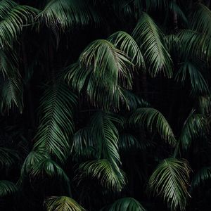 孤城飞沙-整曲