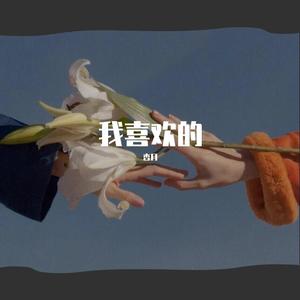 吴啸-遇见（杏月 remix）