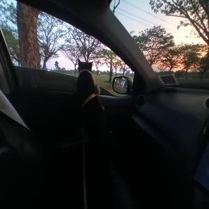 คนที่ไม่ถูกเลือก