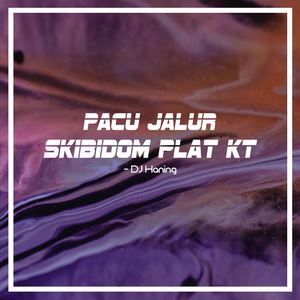 Pacu Jalur Skibidom Plat KT
