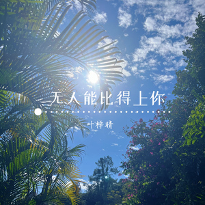 无人能比得上你