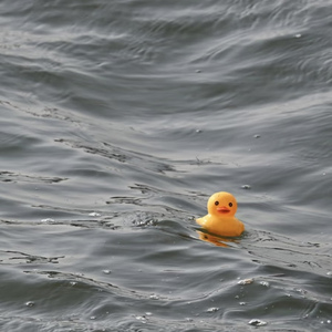 长大一点都不好玩