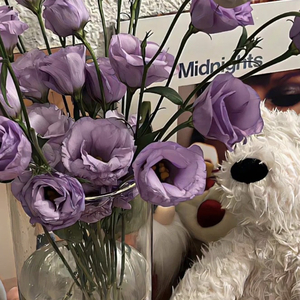 平凡的一天.wav（翻自 毛不易神）