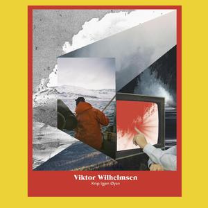 Vanvittige bilda