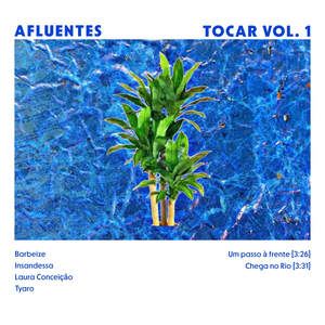 Um Passo À Frente (Tocar Vol 1)