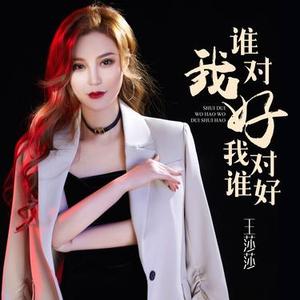 谁对我好我对谁好 (DJ何鹏版伴奏)