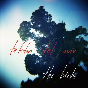 The Birds (Matthew Dear Remix)