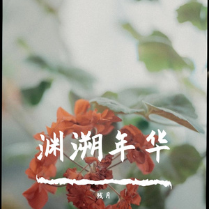 渊溯年华