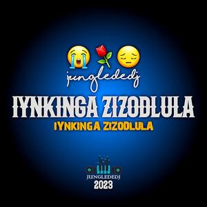 Iynkinga Zizodlula