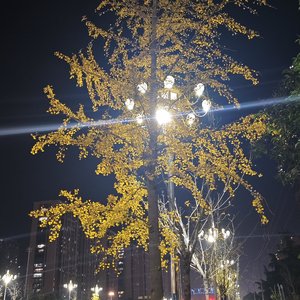 变成陌生人何尝不是待我如初