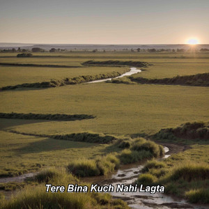 Tere Bina Kuch Nahi Lagta