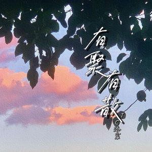 有聚有散