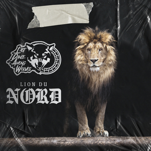 Lion Du Nord