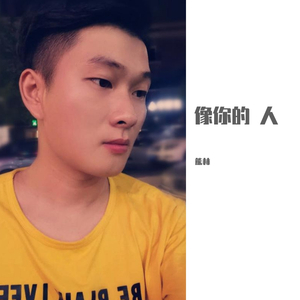 像你的人（翻自 任浩铭）