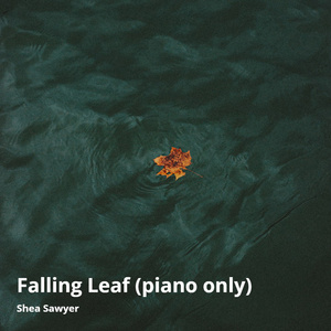 Falling Leaf