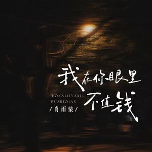 我在你眼里不值钱