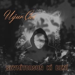 Sevmiyorsun Ki Beni