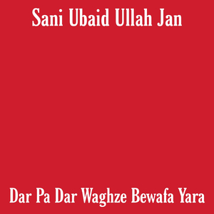 Ta Che Da Kameez Ghary Khandari Kale