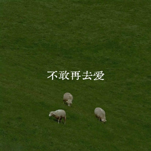 不敢再去爱