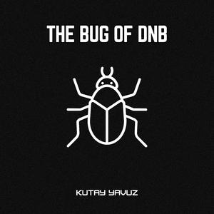 The Bug of DnB
