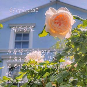 Euphoria（翻自 Jung Kook）
