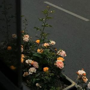 再见吧 那个让我疯狂的女孩