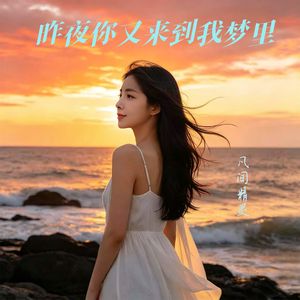 昨夜你又来到我梦里