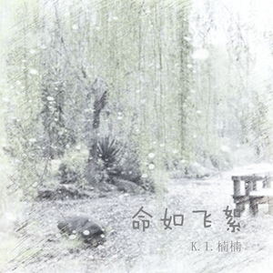 命如飞絮