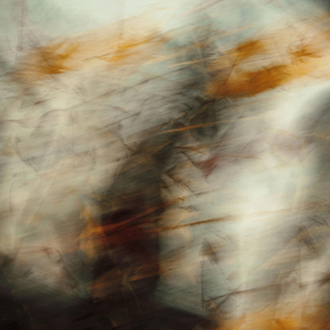 do the lil john (remix)