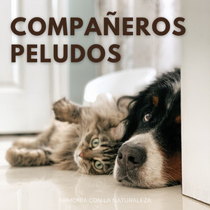Vínculo Musical En Las Patitas Y En El Juego Con Su Perro