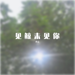 见鲸未见你