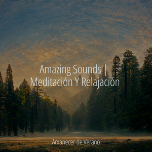 Susurros Giratorios en Movimiento